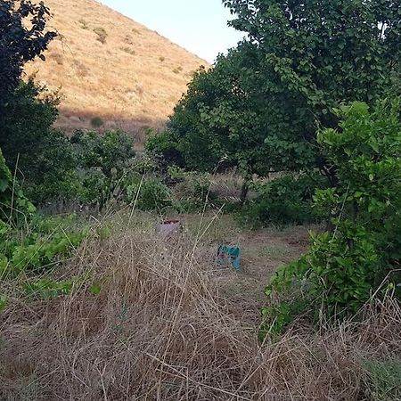 Κυθνος Δρυοπίδα, Στούντιο Χατζής Dhriopís Exterior foto