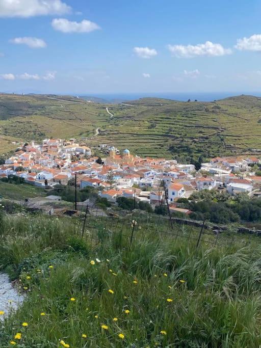 Κυθνος Δρυοπίδα, Στούντιο Χατζής Dhriopís Exterior foto