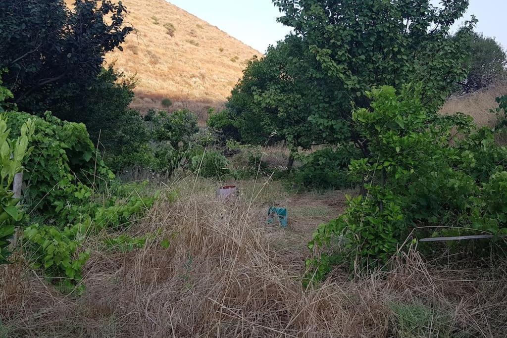 Κυθνος Δρυοπίδα, Στούντιο Χατζής Dhriopís Exterior foto